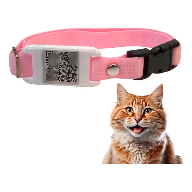 Collar Para Gatos Elastizado Con Identificador Qr