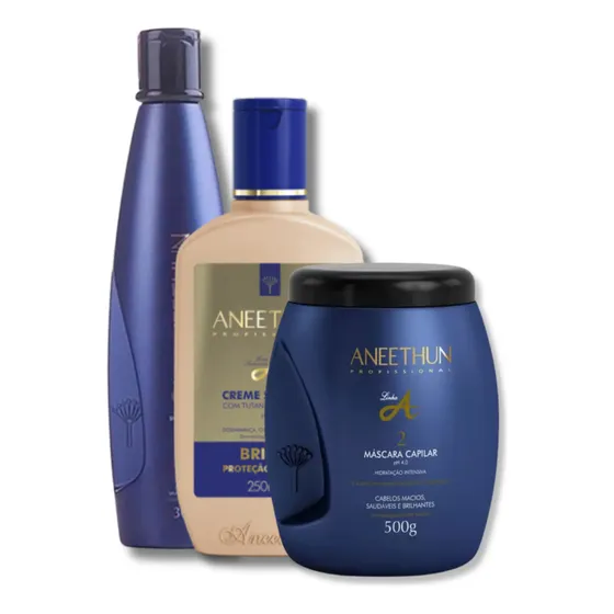 Kit Shampoo + Creme De Silicone + Máscara Capilar Aneethun