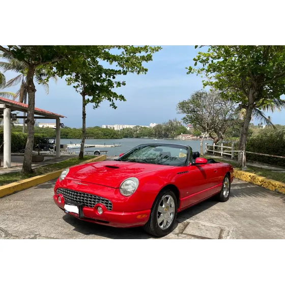 Ford Thunderbird Convertible Piel At