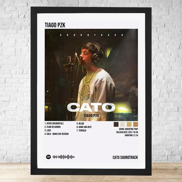 Cuadro Tiago Pzk Cato Soundtrack 30x40 C/vidrio Y Marco C452