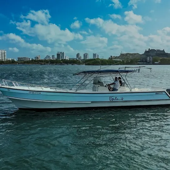 Lancha Barracuda 380 Modelo 2007 Con 2motores Suzuki 200hp
