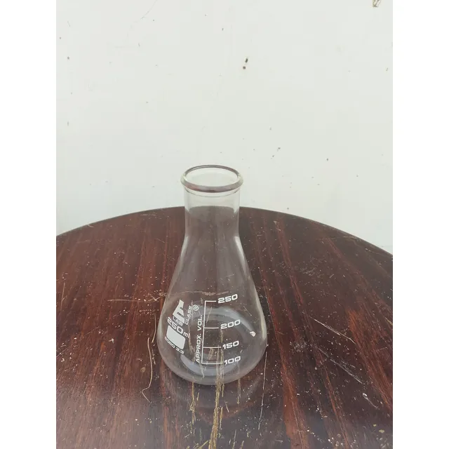 Lab Glass Erlenmeyer 250ml - Equipamiento Médico
