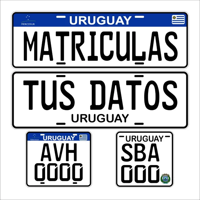 Matrícula De Moto Decorativa O Provisoria En Pvc