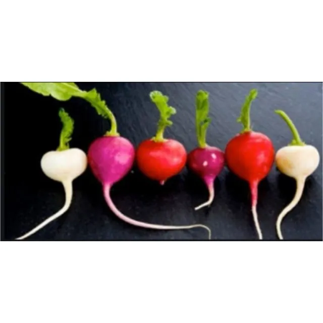 Semillas Organicas 100% Naturales Mix De Rabanos Y Rabanitos