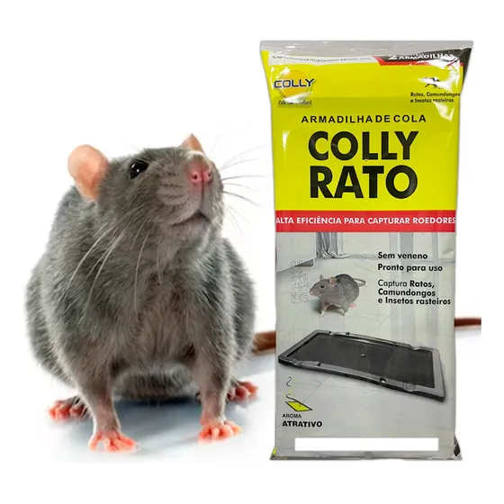 Ratoeira Armadilha Adesiva Pega Cola Rato 100 Pares - Colly