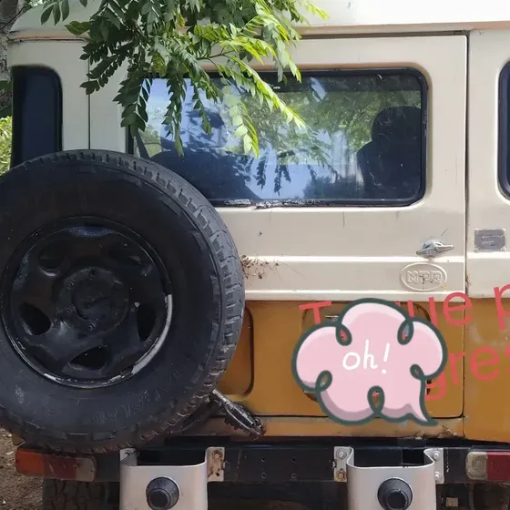 Toyota Land Cruiser 1978 4.2 Fj40