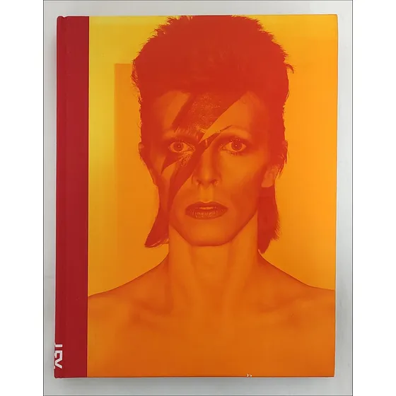 David Bowie É O Assunto De Ana Martini ; Raquel Toledo Pela Cosacnaify (2014)
