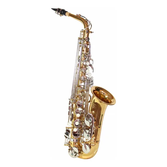 Saxofone Alto Jahnke Eb (mi Bemol) Com Boquilha E Case