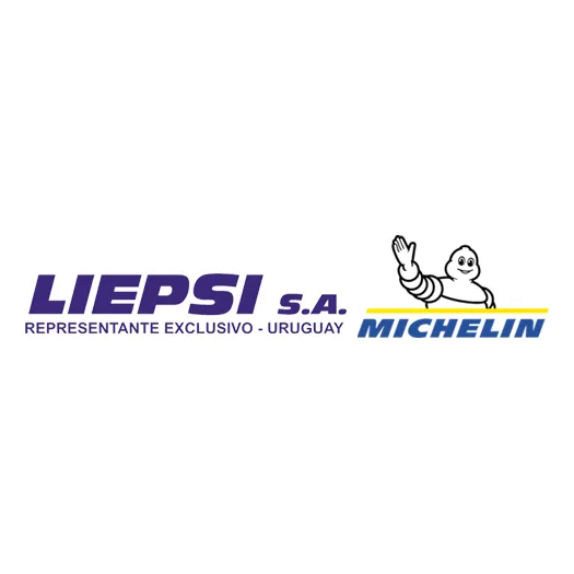 Neumático  Michelin 295/30 R21 Xl P Sport Ev Acoustic 102y