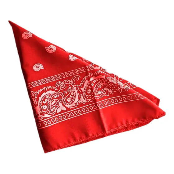 Pañoleta Bandana Estampada Colores Moda