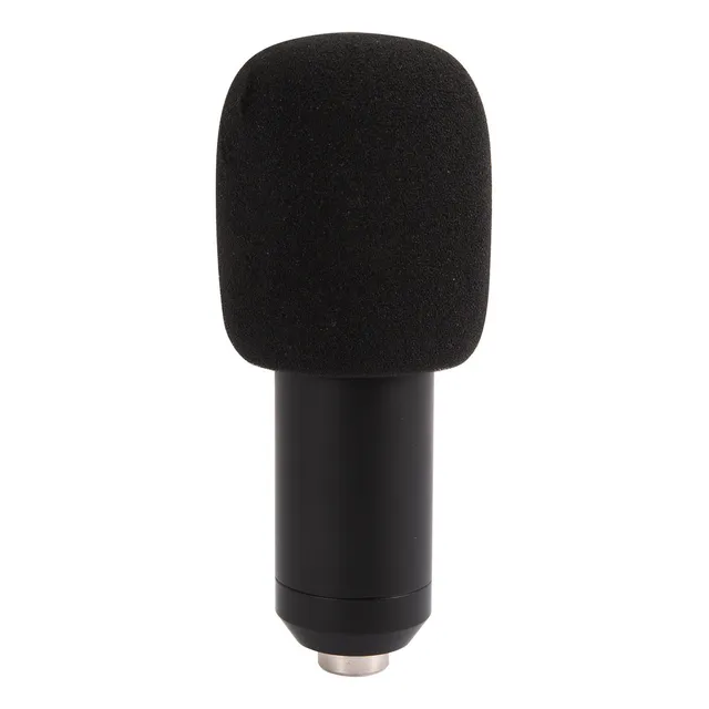 Microfono Philco Studio 31451 De Condensador Hi Fi + Soporte Color Negro