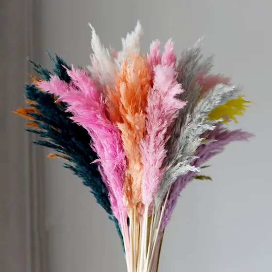 Ramillete Mini De Pampas Naturales O Colas Zorro  Decoración