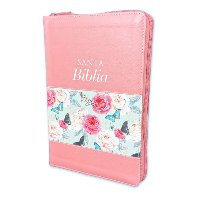 Biblia Letra Grande Reina Valera 1960