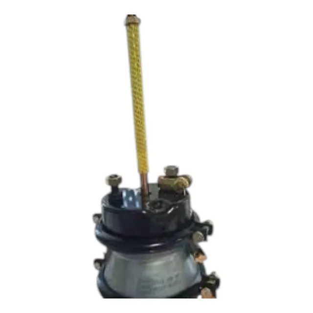 Pulmon De Freno 2024dd Ford Cargo 815