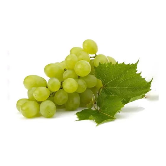 Parra De Uva Blanca Thompson / Sultanina Frutal Injertado