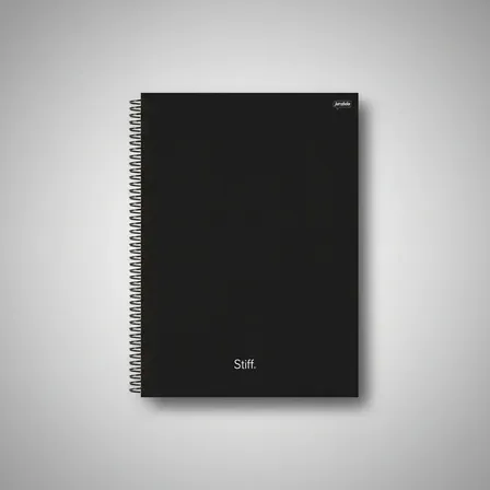 Caderno 10 Materias Jandaia Stiff Cor Preto