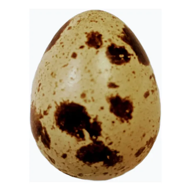 Huevos De Codorniz Fertil Para Incubar Silver Por Docena