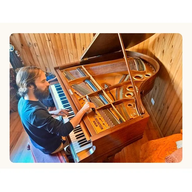 Afinación De Pianos A Oído | Servicio Profesional En Caba