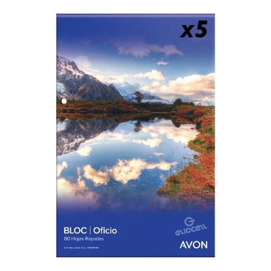 Block De Hojas Avon Oficio Perforado Rayado X5 Unidades