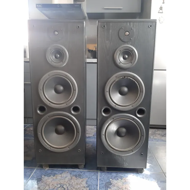 Parlantes Technics, Mi Gato Rasguñó El Parl.pero No Afecta Negro