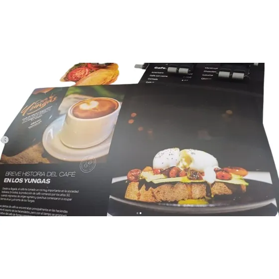 1000 Folleto Flyer Volante Brochure Catalogo Triptico Hd
