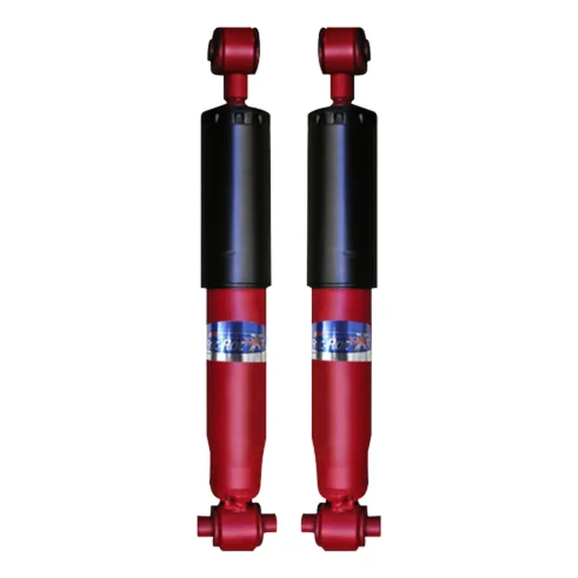 Kit X2 Amortiguadores Traseros Fric Rot Peugeot 206 207