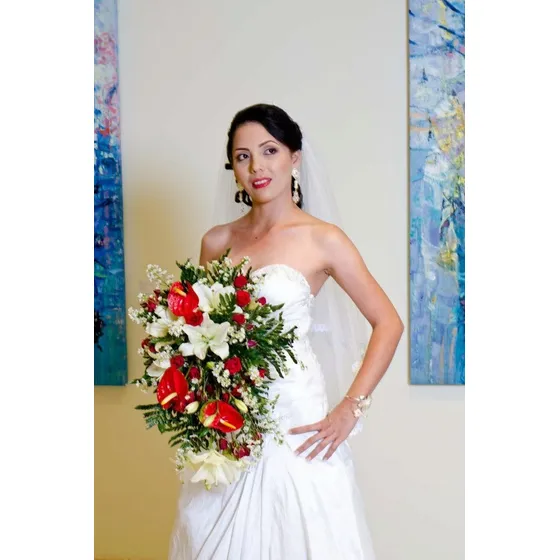 Vestido De Novia Bicici & Coty