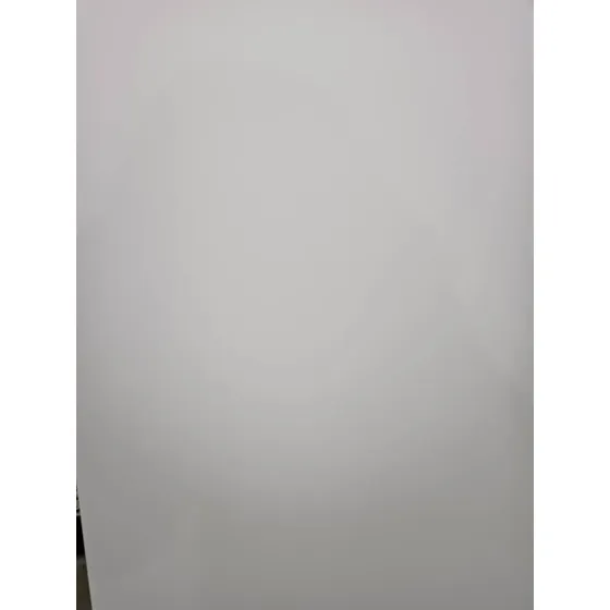 Lamina Vinyl Cielo Raso Blanco Liso 0,60 X 1,20ml. 