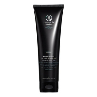 Paul Mitchel Awapuhi Wild Ginger Shampoo 250ml Paul Mitchel Awapuhi Wild Ginger Shampoo 250ml