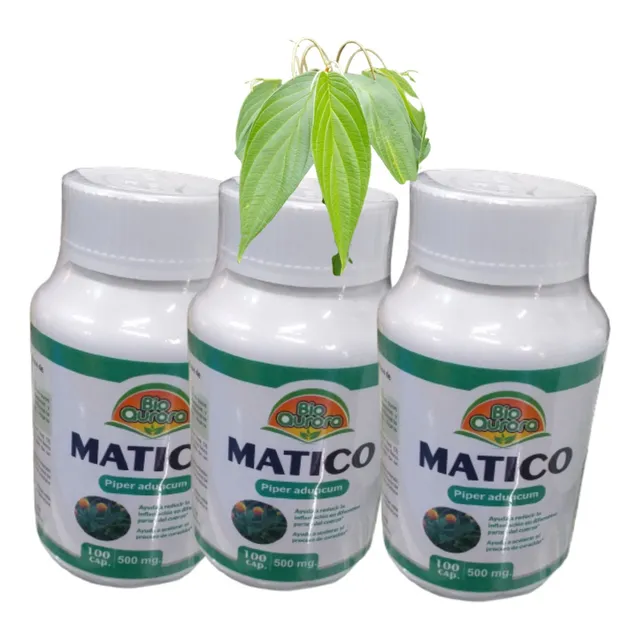 Matico 100 Cápsulas X 500 Mg Pack De 3 Frascos 300 Cápsulas