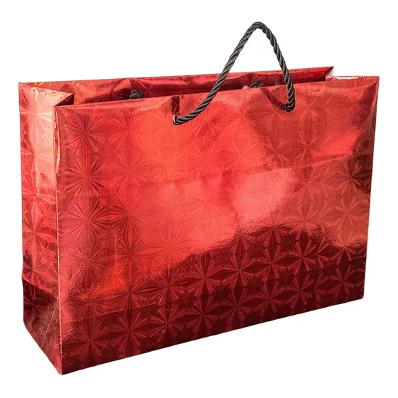 Bolsas Tipo Boutique Para Regalos 23x17x8 Pack De 12 Bolsas