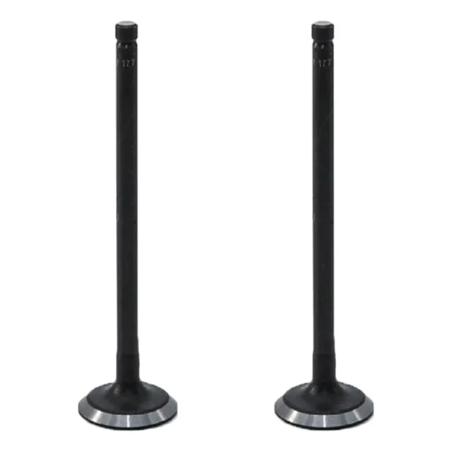 Valvula Dacomsa Para Hyundai I10 1.1l 2012, 2013 2 Piezas