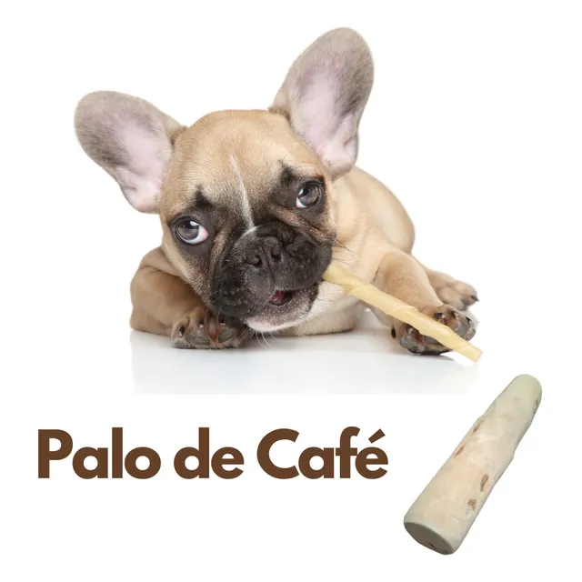 Palo De Cafe Para Perros