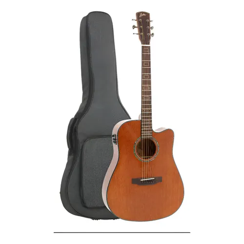Fender Newporter シャンパンゴールド 美品 Fender Newporter 希少
