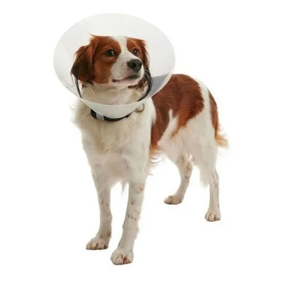 Collar Isabelino Para Perro O Gato Tamaño Regulable Encastre