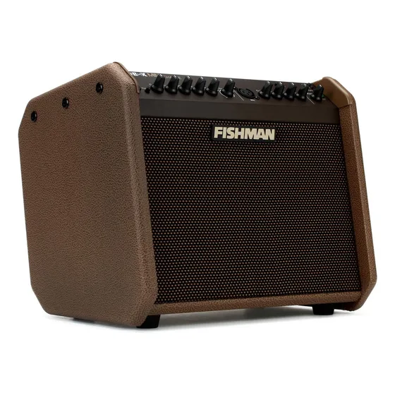 Minicargador Fishman Loudbox De 60 W, 1 X 65 Pulgadas, Ampli