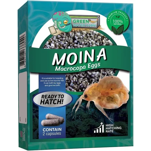 Daphnia Pulga Agua Incubacion Para Alimentar Alevines Crias 
