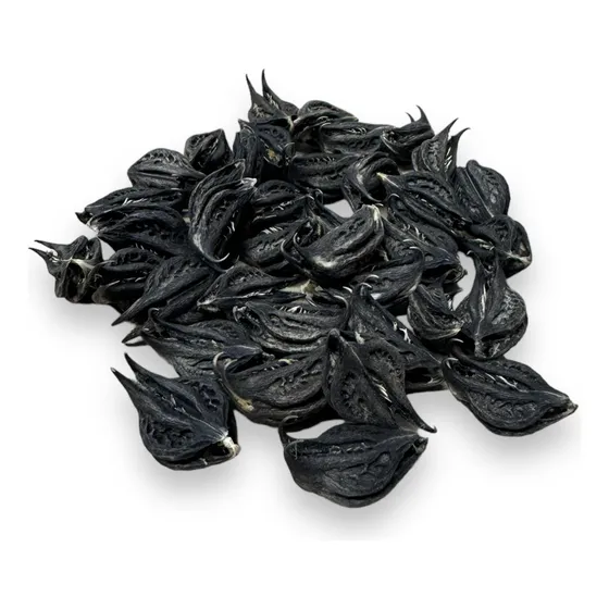 21 Favas Pomba Gira E Exu Garra Do Diabo Para Assentamento
