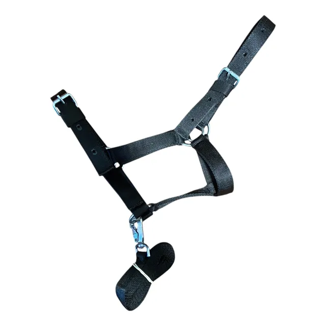 Bozal Nylon Reforzado Para Caballo Mediano Con Cabestro Egua