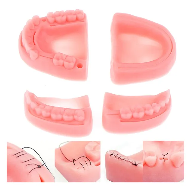 Kit Práctica Sutura Cirujano Dentista - 4 Modelo Silicona