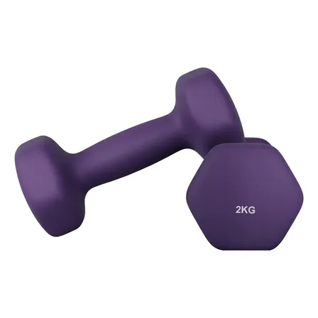 Songmics Par de Halteres Emborrachados 2kg para Musculação Fitness Academia Cor Violeta-escuro