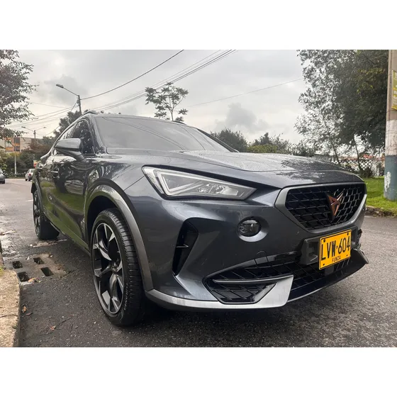 Cupra Formentor 2.0 Tsi Metalizado Dsg