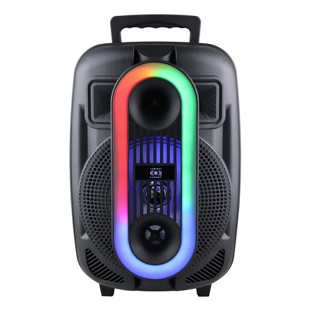 Bocina Amplificada 8 Pulgadas Tws Bluetooth Radio Fm 20w Color Negro
