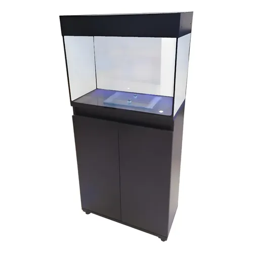 Aquario Ada Cube Garden 60 X 30 X 36 60l6mm Original C/ Nf
