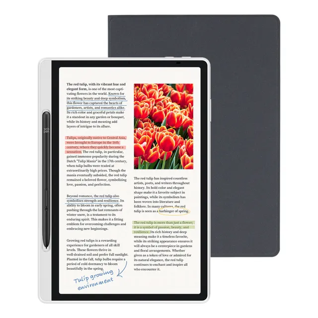 XPPen Magic Note Pad: Lectores de Libros Electrónicos+Tablet Android 14+Cuaderno Digital, 10.95 Pulgadas 6GB+128GB WiFi Android 8000mAh Tableta de Papel Original/Tinta/Color con 16K Lápiz sin Carga