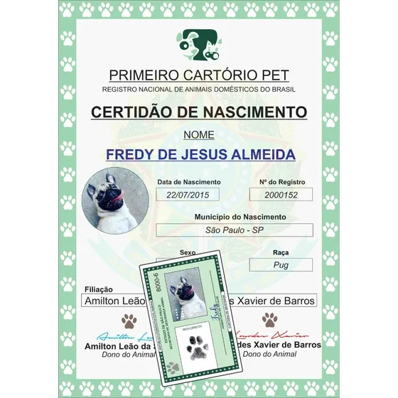 Kit Completo Rg Pet  Certidão Nascimento Chaveiro  Placa Pet