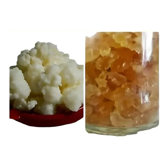 2x1 Kit Bulgaros Kefir Leche Y Agua 100% Orgánicos En Frasco