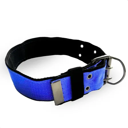 Coleira Azul Reforçada P/ Cães Porte Grande Fivela 2 Pinos Azul N9