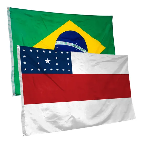 Bandeira Do Amazonas + Do Brasil Cores Nas Duas Faces