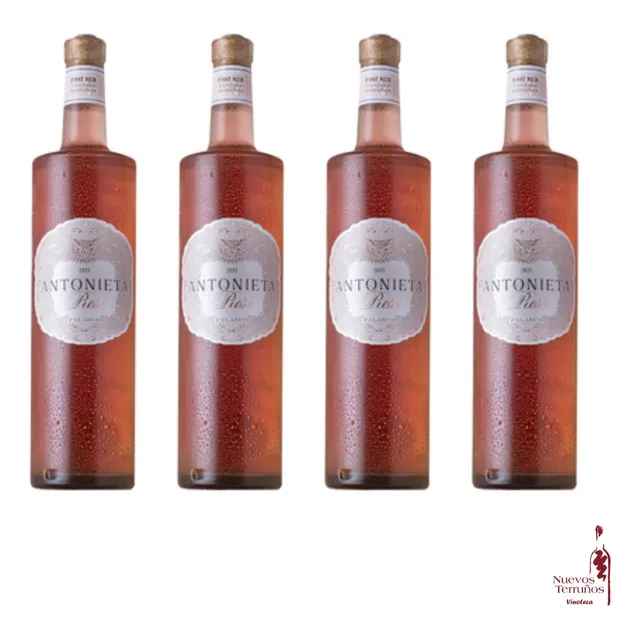 Vino Antonieta Rosé X4 Botellas X750ml. Falasco Wines